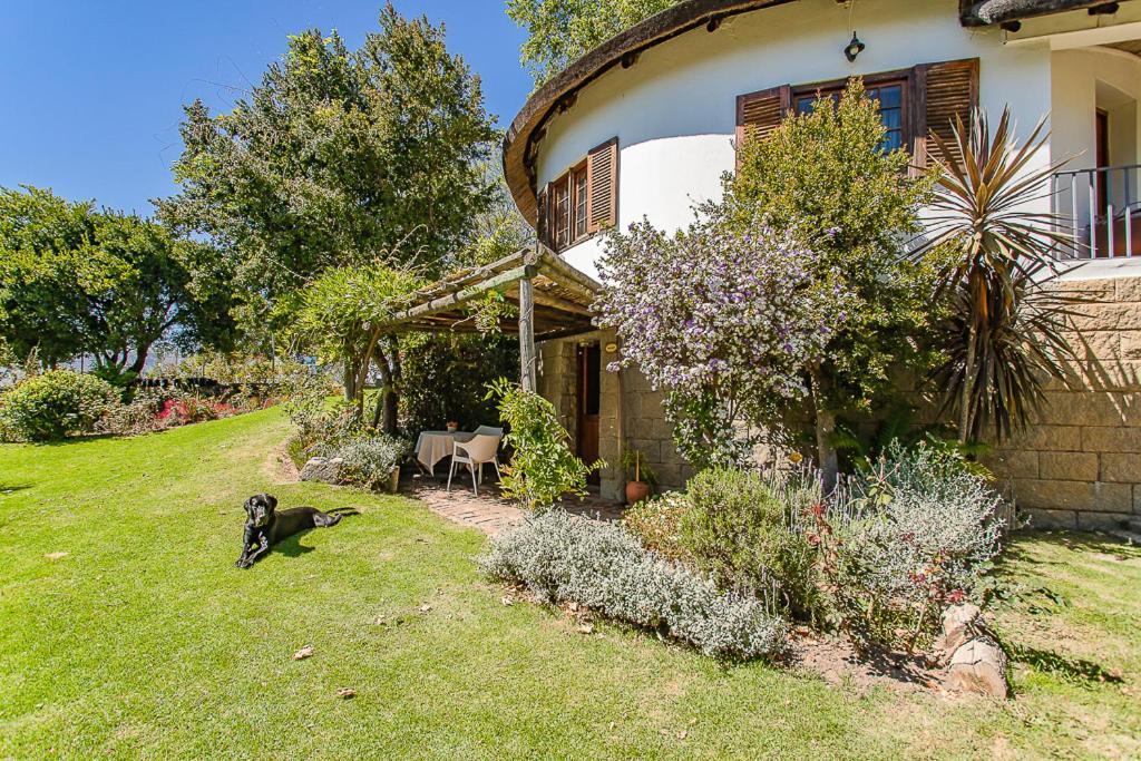 Picardie Guest Farm Paarl Esterno foto