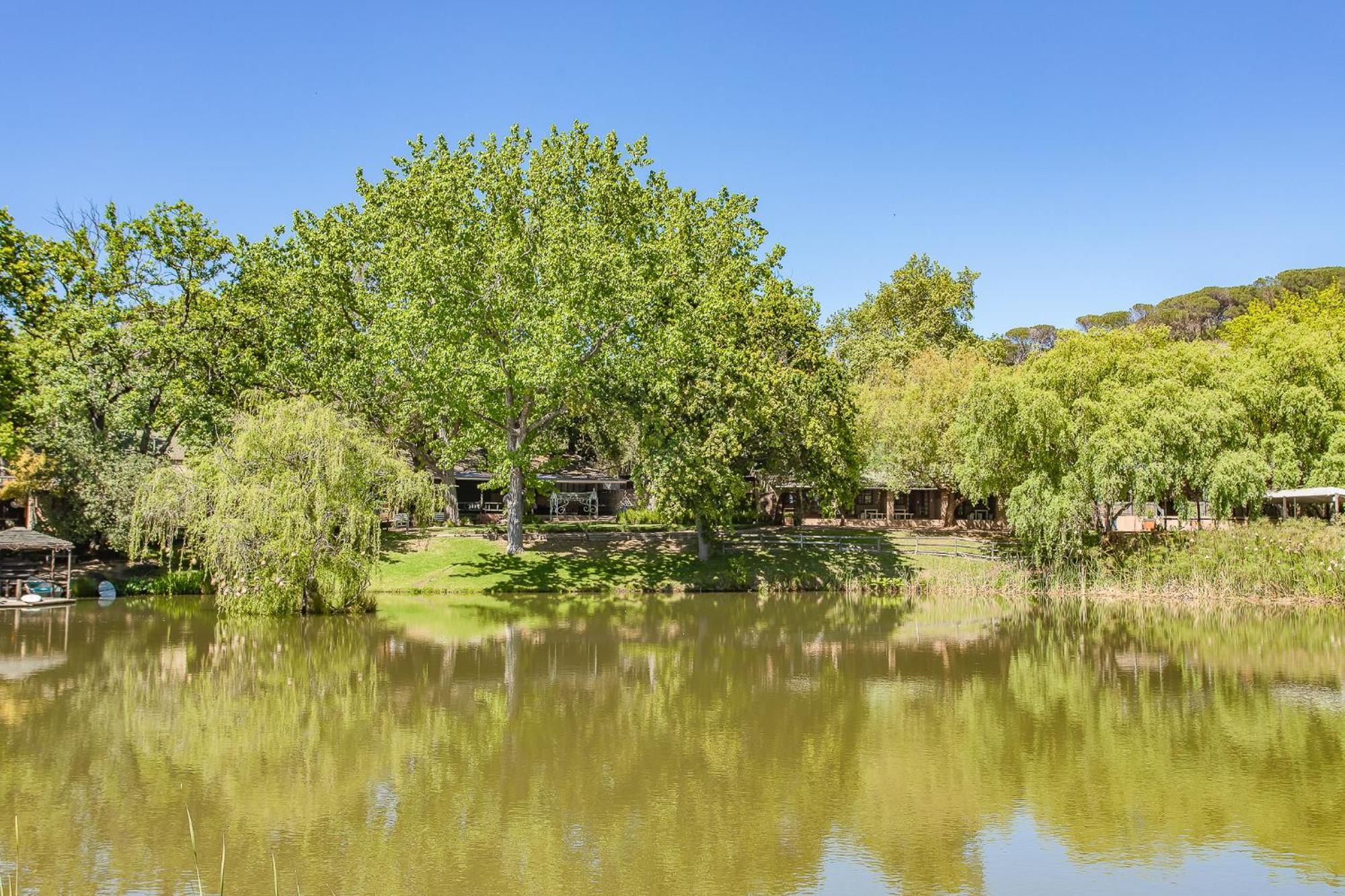 Picardie Guest Farm Paarl Esterno foto